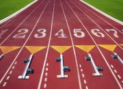 世界杯2026-京城金秋见证新王旧序，阿尔卡拉斯横扫梅德韦杰夫，莱巴金娜利刃出鞘直落两盘