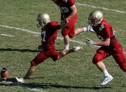 开云体育中国官网-临场调整铸就经典，苏亚雷斯妙手助奥地利力克尼日利亚