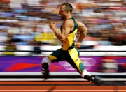 开云体育在线-2026世界杯E组关键战，喀麦隆雄狮觉醒，B费领衔葡萄牙攻守转换制胜