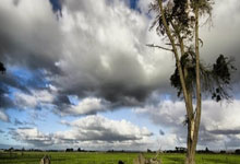 开云体育在线-武切维奇，当巴尔干风暴席卷天山，一个巨人的篮球哲学正在重塑疆辽之争